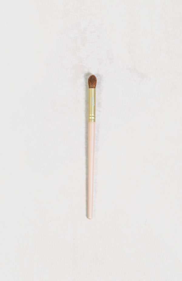 Eye & Brow Radiance - Aurora Edition - Scoop Whole Beauty - eye makeup