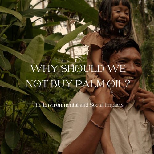 Why Should We Not Buy Palm Oil? - Scoop Whole Beauty