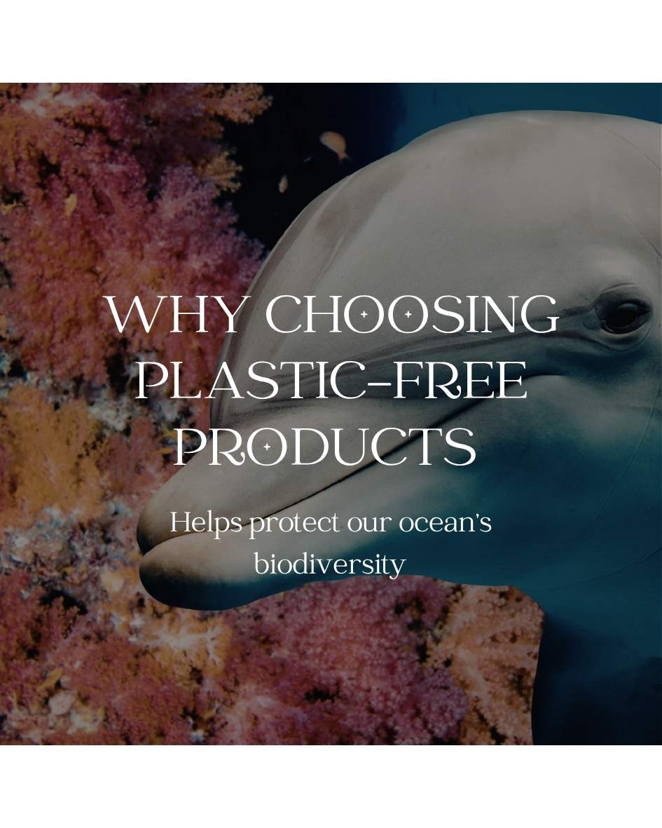 Why Choosing Plastic Free Products Helps Protect Our Ocean's Biodiversity - Scoop Whole Beauty