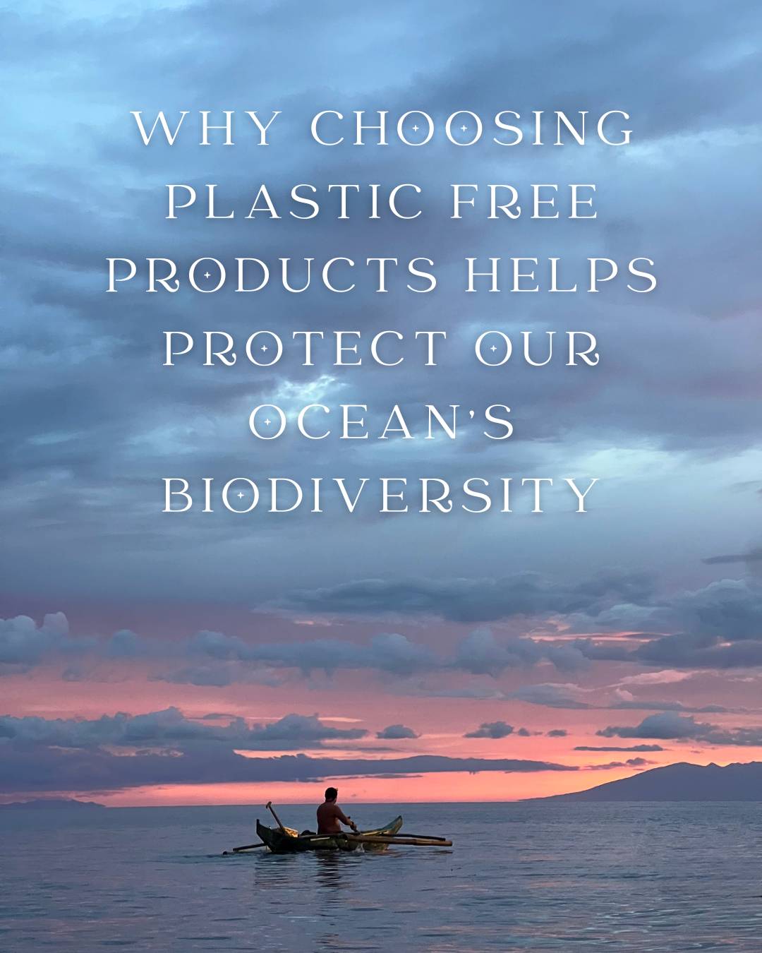 Why Choosing Plastic Free Products Helps Protect Our Ocean's Biodiversity - Scoop Whole Beauty