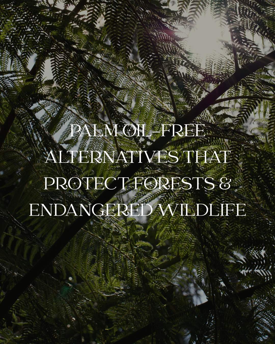 Palm Oil–Free Alternatives that Protect Forests and Endangered Wildlife - Scoop Whole Beauty