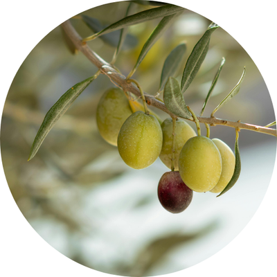 Australian Cold Pressed Olive Oil