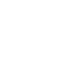 Whale Icon