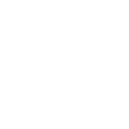 Whale Icon